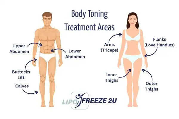 Graphic showing where you can have Body toning Treatment Oakham on your body